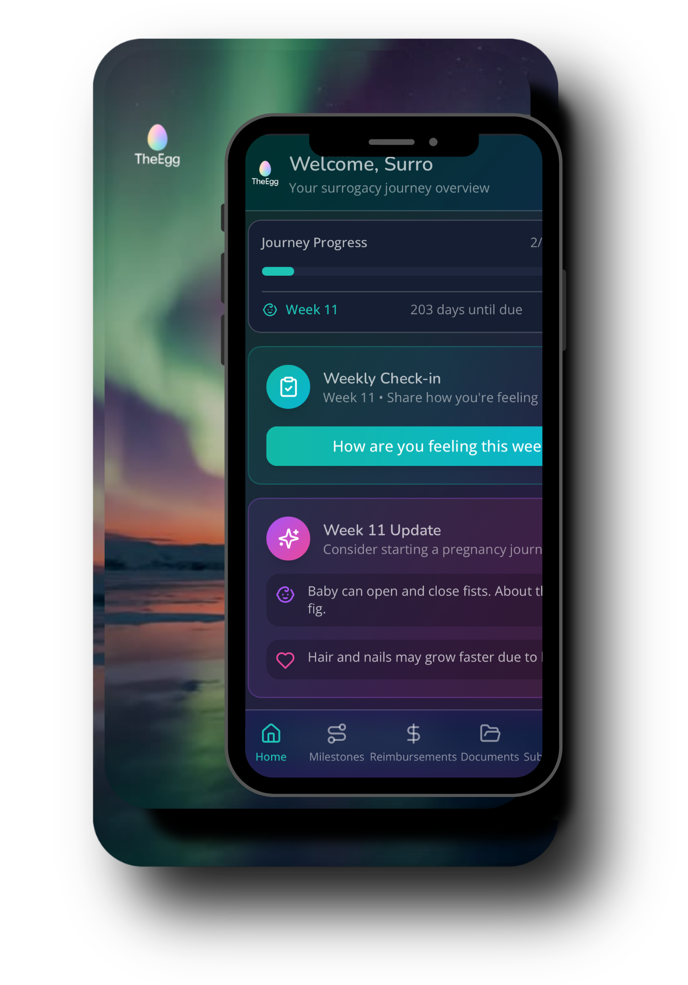 Untitled design (18)-1